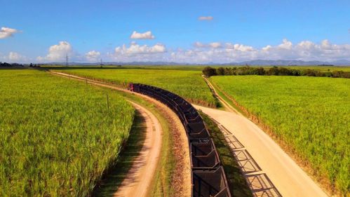 Yayo Sanz Lovatón valora la decisión de levantar prohibición de exportación a Central Romana